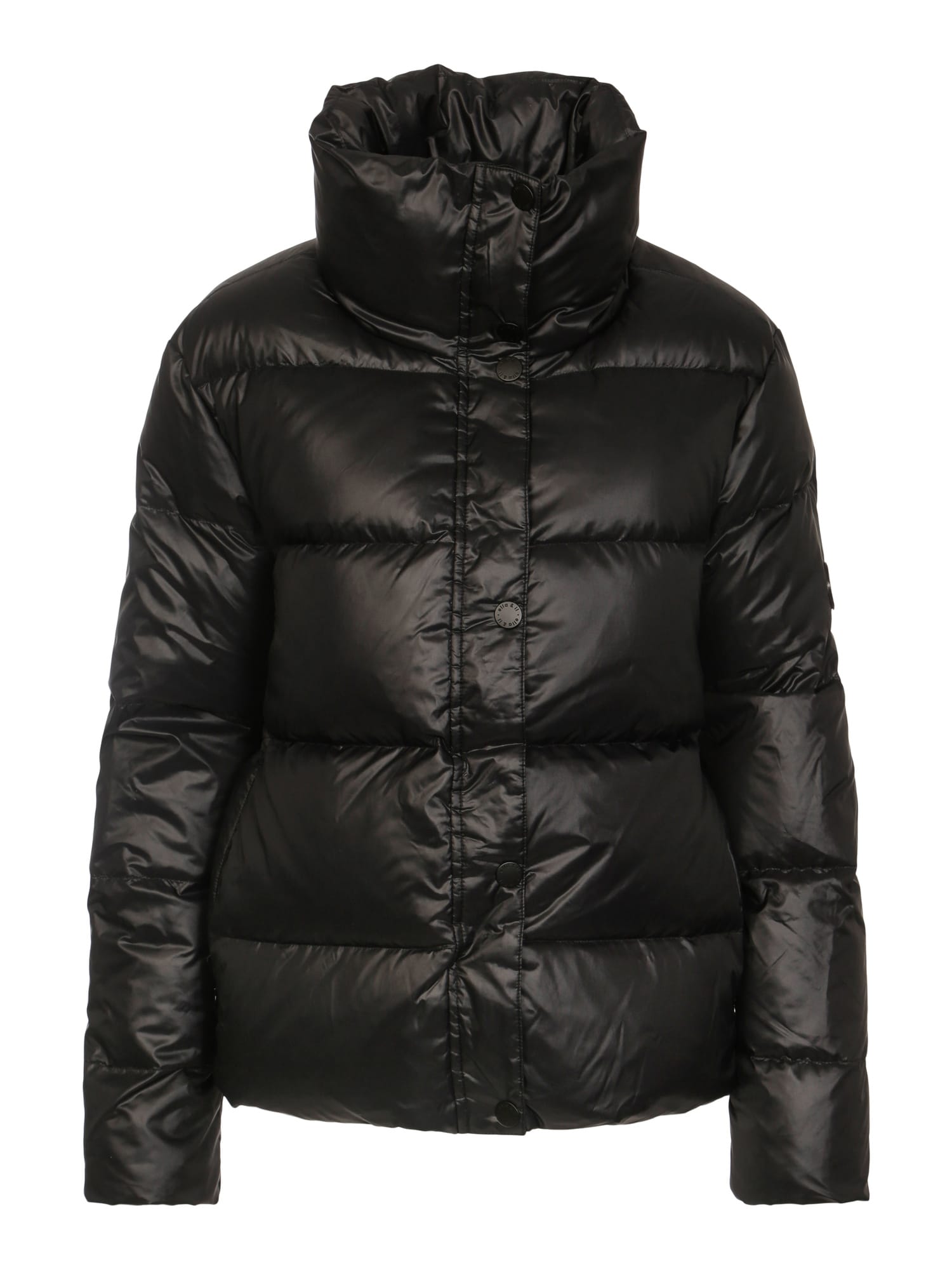Indie Down Jacket